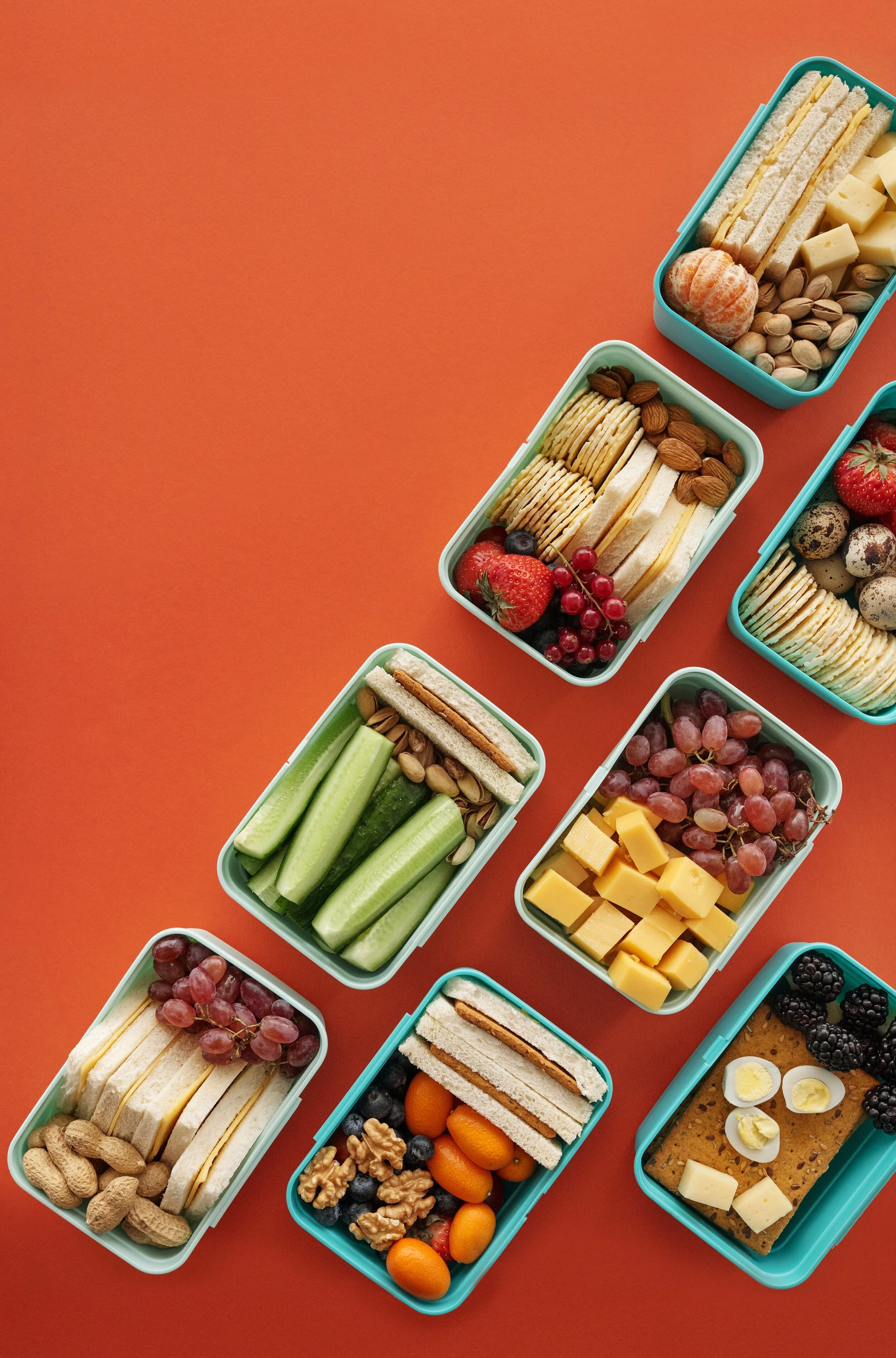 BEST LUNCH BOXES FOR KIDS BACK TO SCHOOL the Workspace for Children